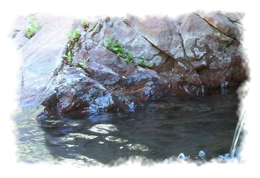 Warm spring water pooling against red rock, from the spring where Amal's portrait was taken